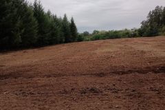 WhatsApp-Image-2025-11-20-at-16.49.514