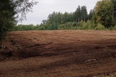 WhatsApp-Image-2025-11-20-at-16.49.521