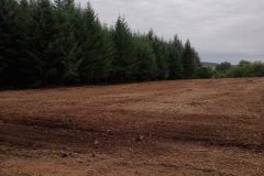 WhatsApp-Image-2025-11-20-at-16.49.524