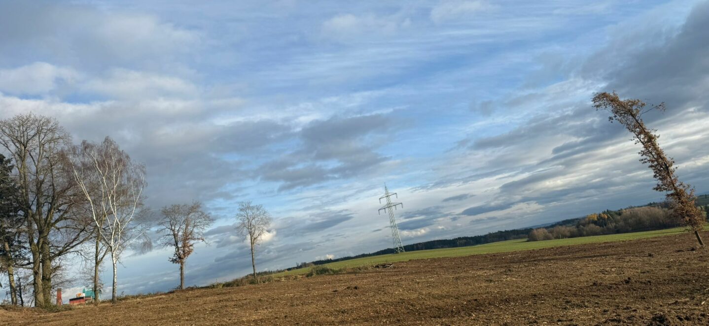 WhatsApp Image 2025-11-20 at 16.49.47