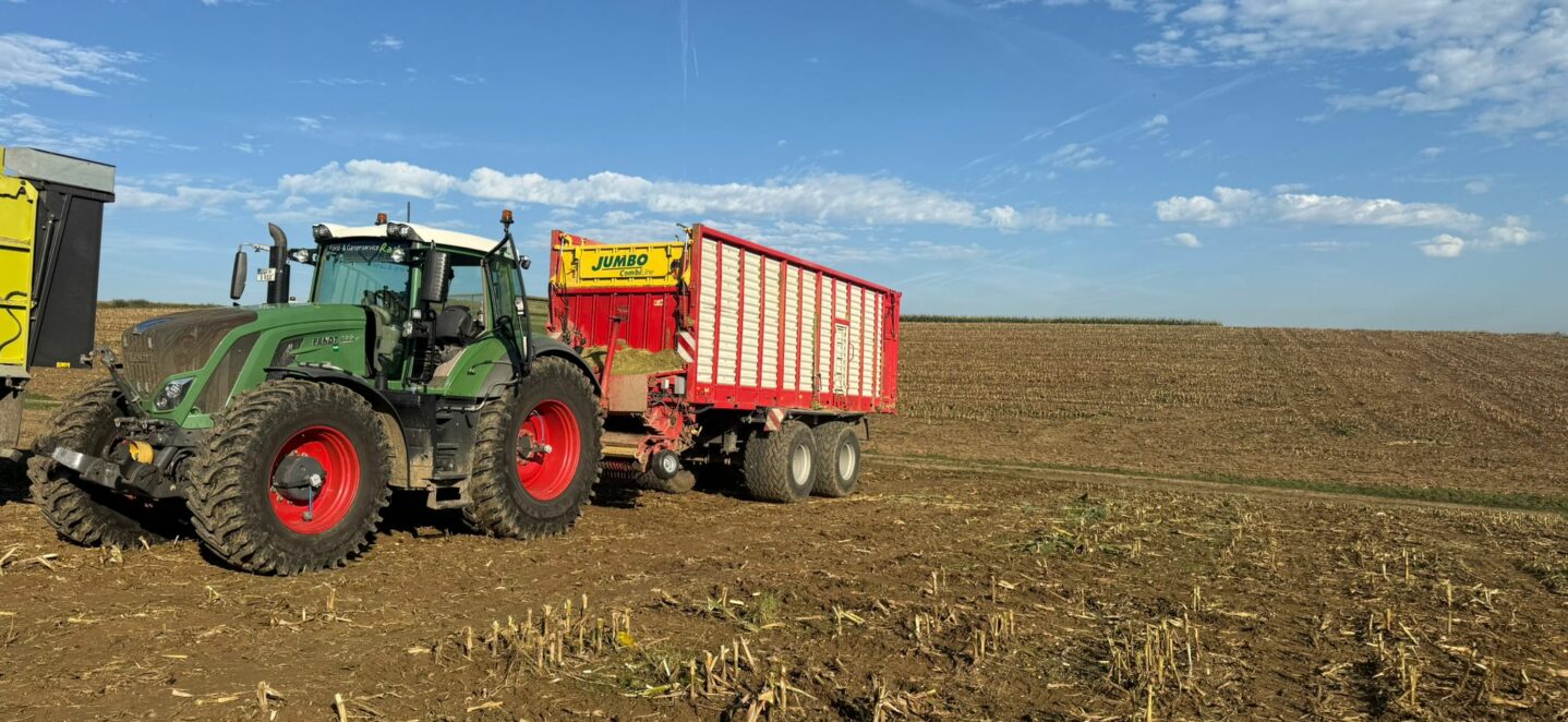 WhatsApp Image 2025-11-20 at 16.49.52