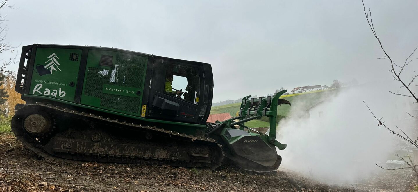 WhatsApp Image 42025-11-20 at 16.49.524